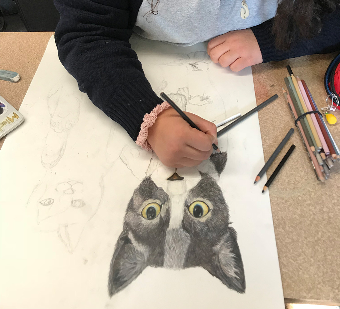 student drawing a cat